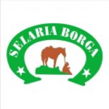 Selaria Borga